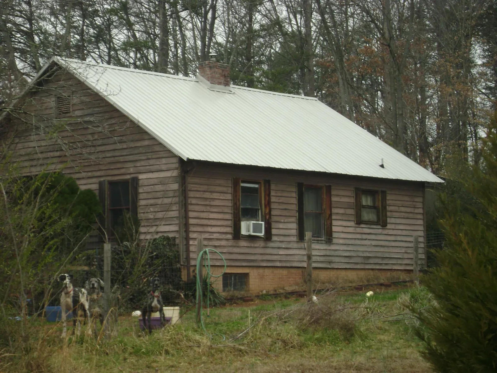 White metal roof on an old wood sided farmhouse, from a Metal Roof Installation job in Ponsford